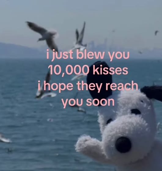 caninepoetry_'s tweet photo. https://t.co/89YOopnMdB