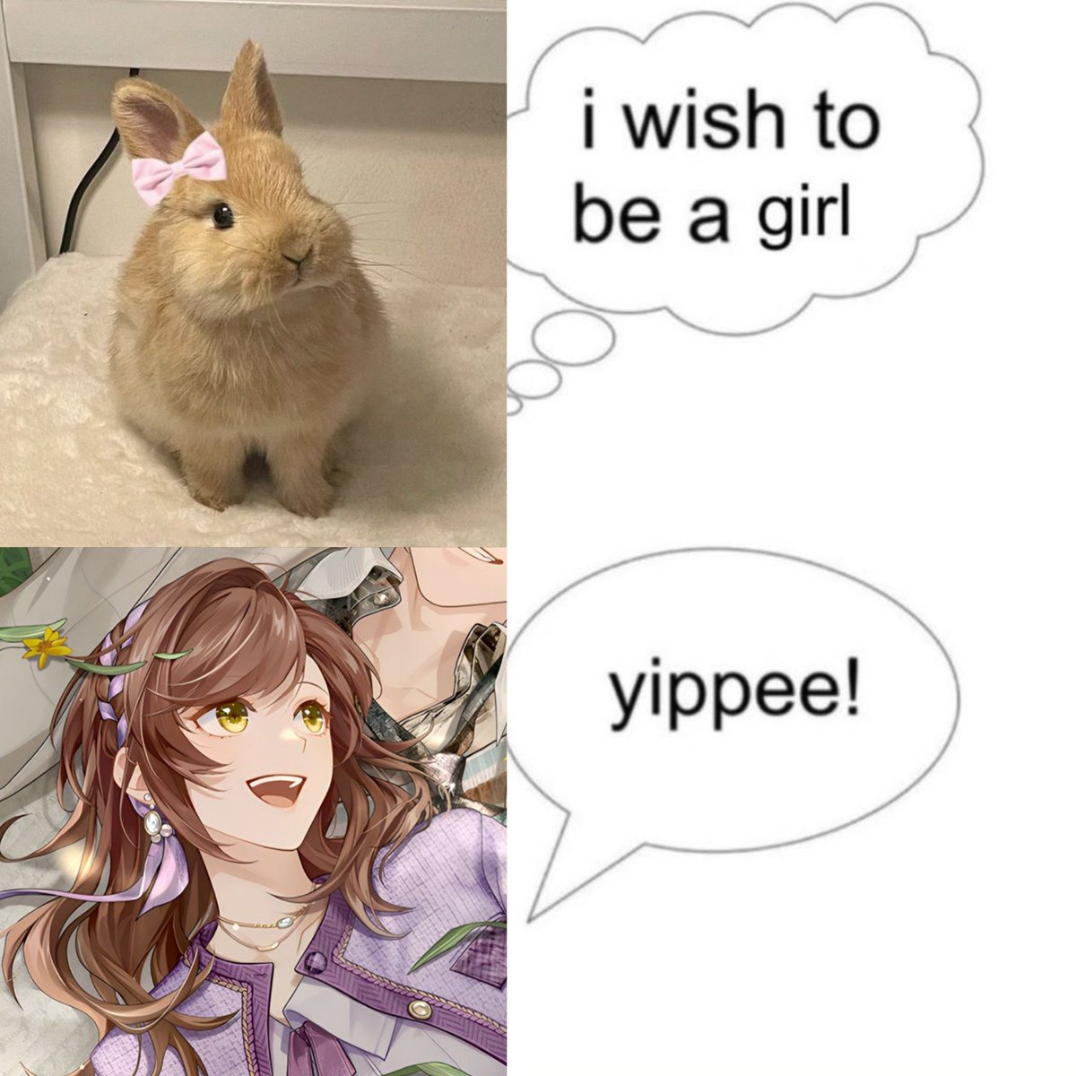 dailyqiangwei's tweet photo. the most bunnyful girl admin has ever seen... (⑅•ᴗ•⑅) https://t.co/CJUD333X54