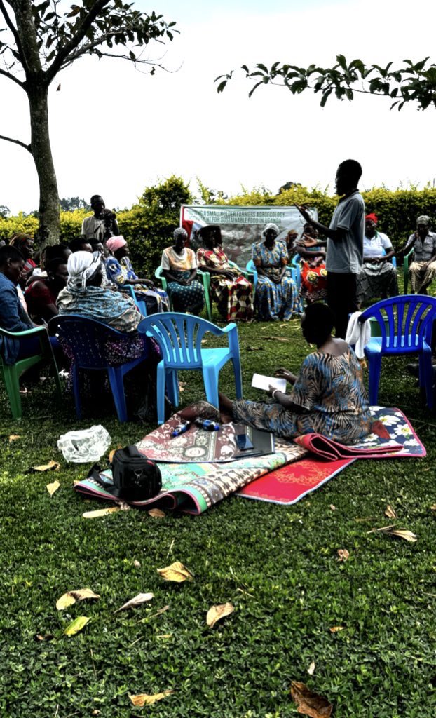 CERAIUg's tweet photo. We continue with our #AgroecologyCompaign in #EACOP affected communities to promote food sovereignty. Through this campaign we aim to restore indigenous seeds that are relevant to changing climatic conditions to keep Oil affected communities food secure. 
#Agroecology https://t.co/IuI4Tbemj6