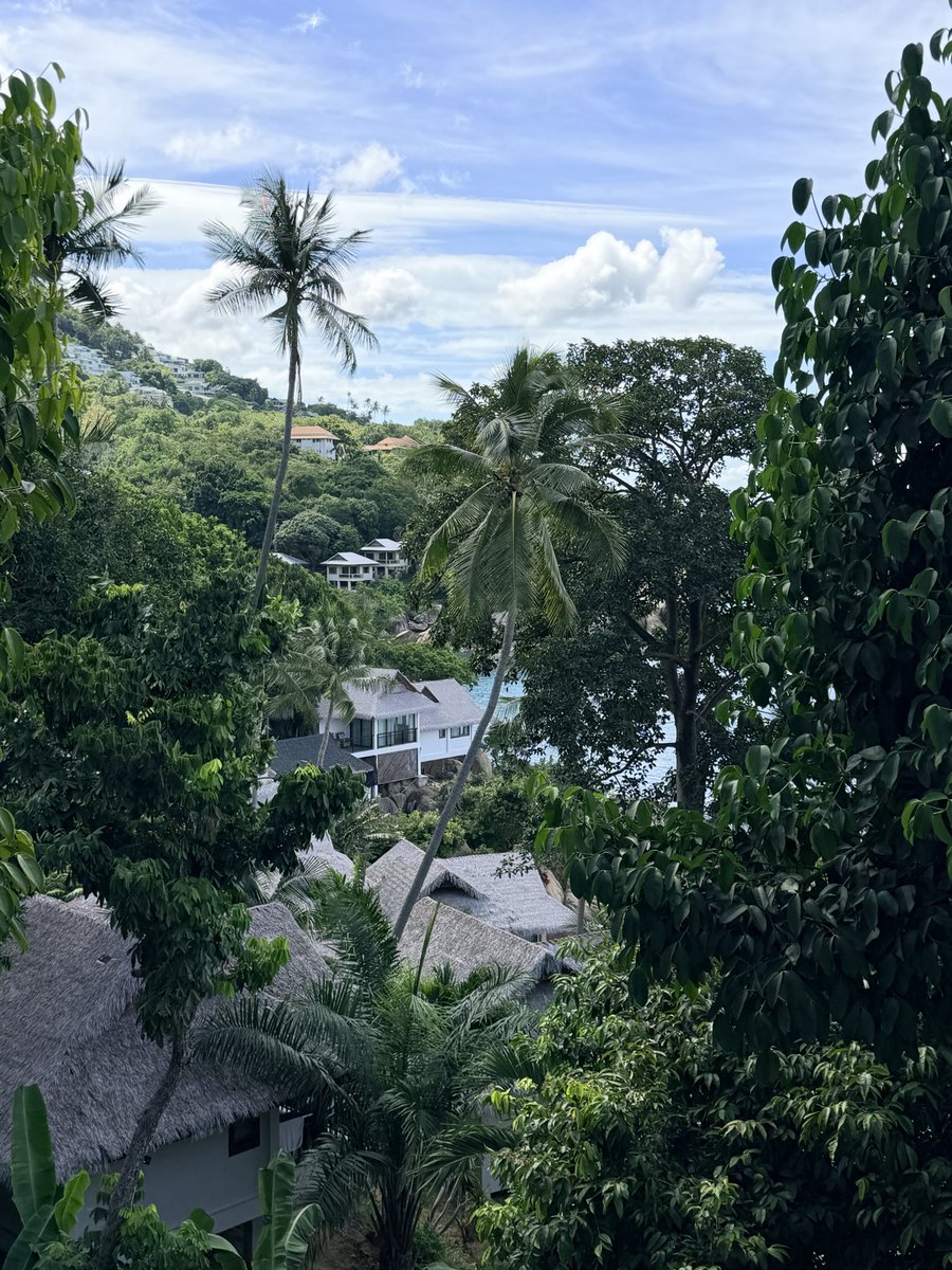 Blueebaa's tweet photo. Ça me manque déjà #thailande #2k26 https://t.co/Oj9m6ma8Xu
