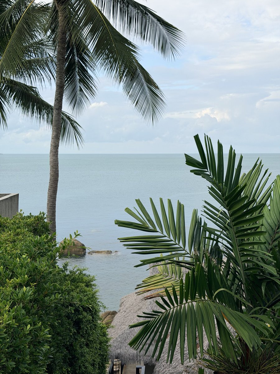Blueebaa's tweet photo. Ça me manque déjà #thailande #2k26 https://t.co/Oj9m6ma8Xu