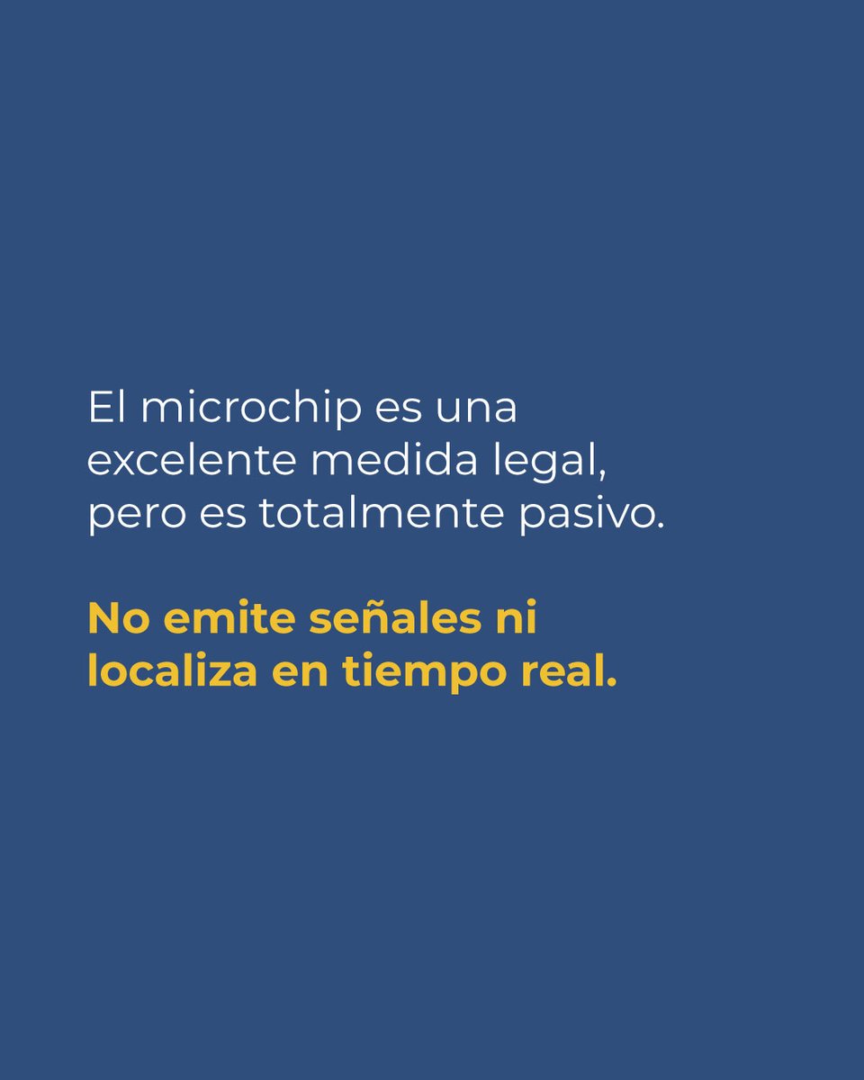 UbikaEs's tweet photo. Cumplir con la normativa del microchip es indispensable, pero ante un perro asustado que corre hacia una avenida con tráfico, necesitas ojos en la calle de inmediato. 

¿Pensabas que el microchip funcionaba como un localizador GPS? Cuéntanos qué opinas.

#proteccionanimal https://t.co/AbIP0jJc7y