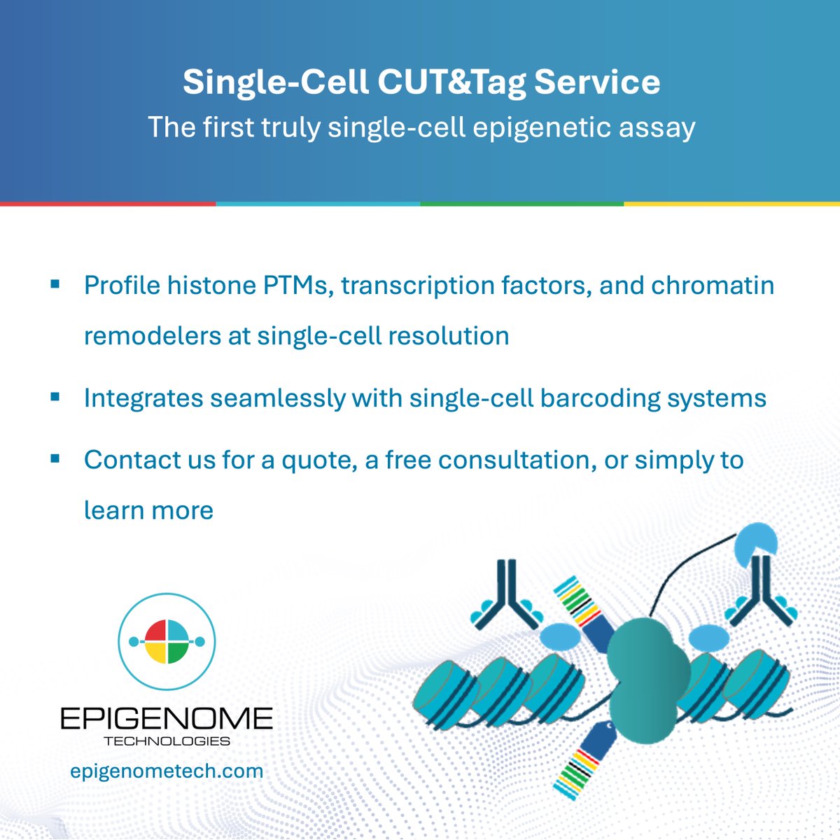 EpigenomeTech's tweet photo. Epigenome Technologies offers an end-to-end Single-Cell CUT&Tag service
Our expert scientists run the entire workflow on your samples - from preparation to data analysis
#Epigenetics #SingleCell #CUTandTag
Find out more at: https://t.co/0TUCDOx1fH https://t.co/WEFwGqyRkB