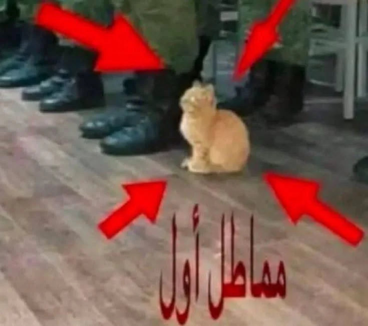 na11iT's tweet photo. اخر سنه ثالث ثانوي و لين ذحين ساعات التطوع ما سويتها من السنه اللي راحت بقول بسويها 
و ذحين بنبدا اخر سنه و لا سويتها و من شروط التخرج ساعات التطوع اعععع https://t.co/9mHd3sRpda