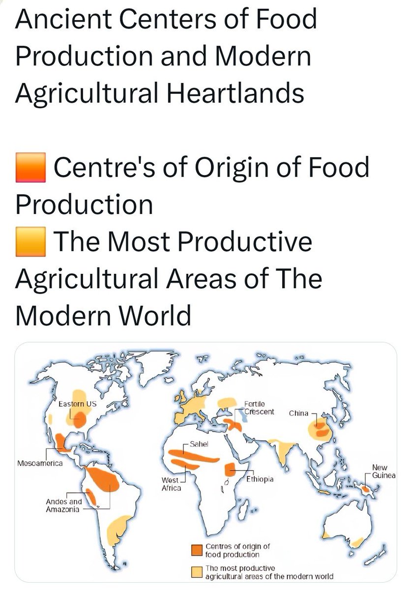 SatpathyLive's tweet photo. India has to take care of its food production capabilities NOW
Neglecting farmers will surely bring destruction on this whole nation
👇🏾 https://t.co/KSQNydv5gD