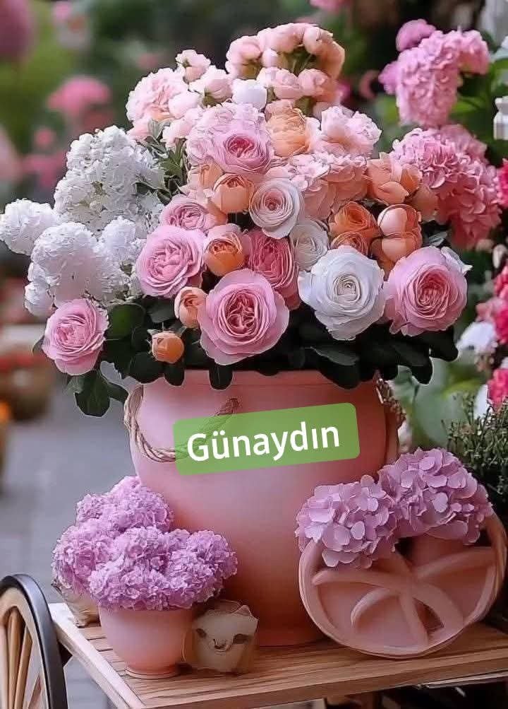 Dillemmaa1's tweet photo. Gün güzel geçsin iyi sabahlar🪷 https://t.co/9BGFqs8gZb