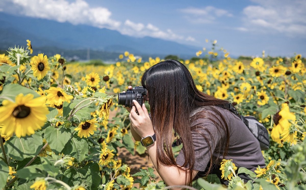 mo_san38's tweet photo. 暑かったが良い休日だった🌞🌻
カメラ用インスタやってまぷ📷 https://t.co/SkxJdokGxs