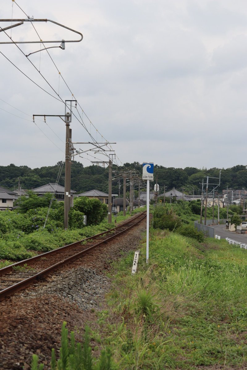 jikko680687's tweet photo. 【今日の787系】2026/8/4(Tue)
5005M特急にちりんシーガイア5号 博多7:31発 宮崎空港行き(宮崎空港13:19着)
787系 BM13編成(本ミフ)
#787系 #BM13 #南福岡車両区 #JR九州 #日豊本線 #大在駅 #坂ノ市駅 https://t.co/WOllnmWynS