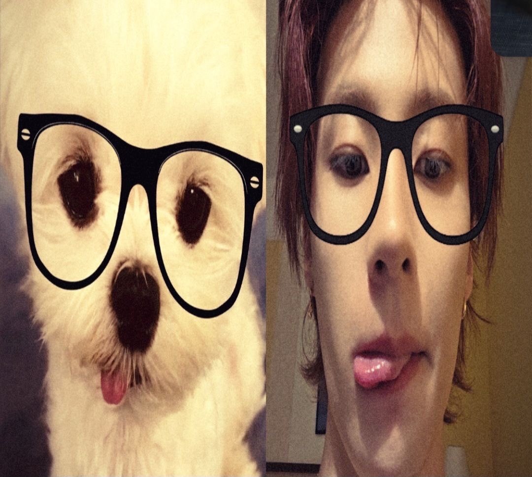 rikuworm's tweet photo. puppy bf bunny gf
#brzsd #briizeselcaday #leeanton #riize @RIIZE_official https://t.co/WIxVWb6hY5