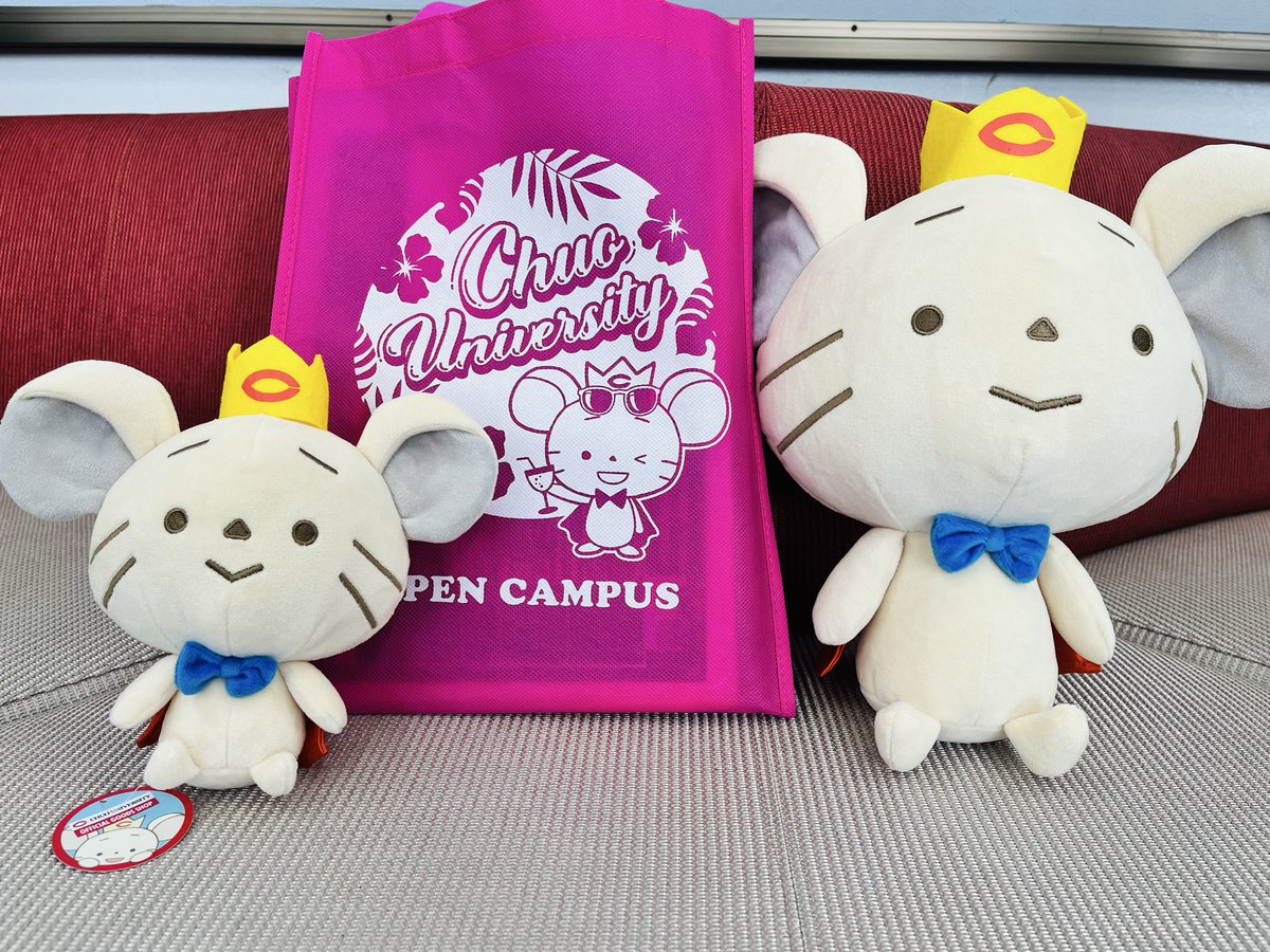 chuoletters's tweet photo. 文学部限定オープンキャンパスにご来場いただいたみなさま、ありがとうございました！
夏休みは各共同研究室の貴重資料の紹介を投稿予定です🔍
ぜひフォローしてお待ちください✨

#中央大学　#文学部　#チュー王子 https://t.co/m3c7wAwZsx