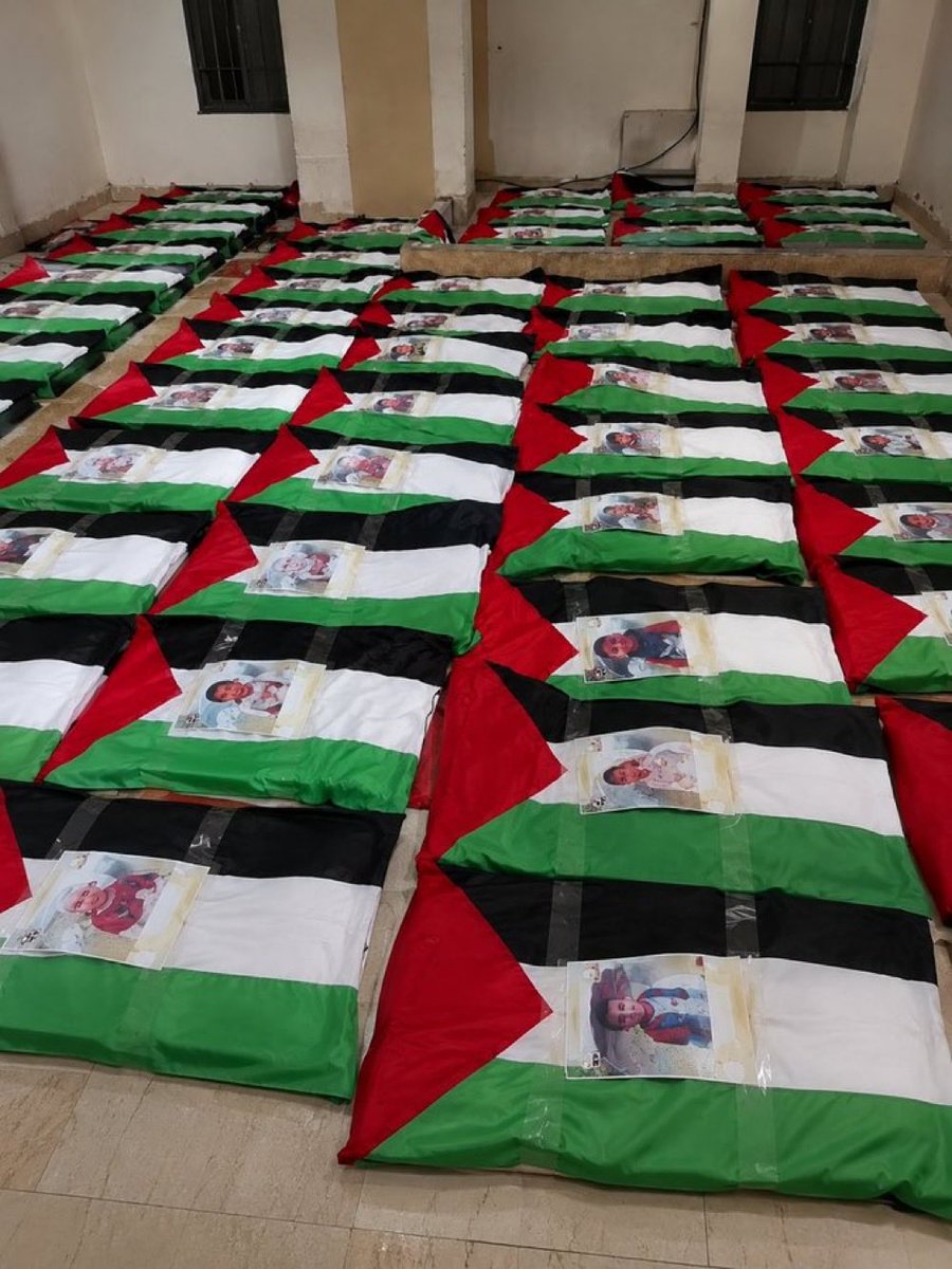 alabriamz's tweet photo. #غزة ستشيع أكثر من 112 شهيدا من أصل 308 شهيد من عائلتين، بعد أشهر من استشهادهم عقب تدمير الاحتلال منازلهم فوق رؤوسهم؟!

تخيل هكذا مشهد؟! 💔 https://t.co/CVkYxQVNaz