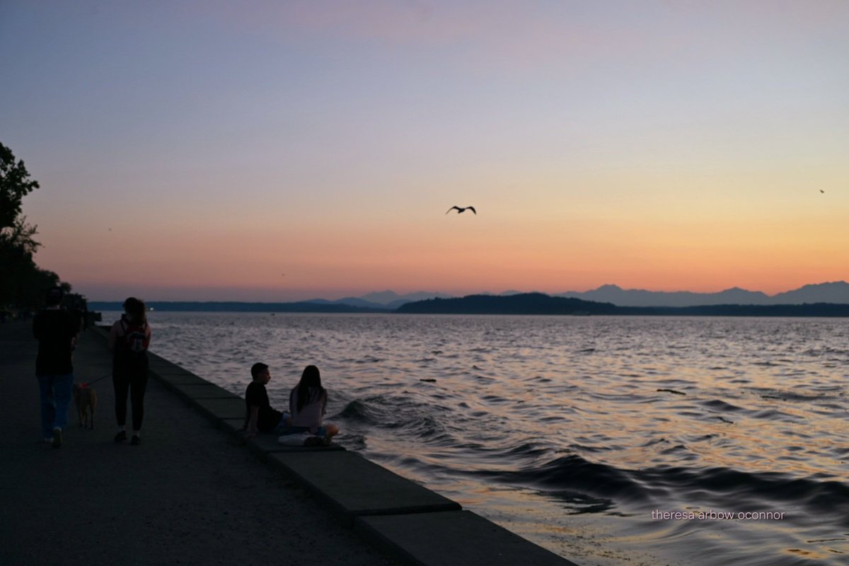 TheresaArbowOC's tweet photo. Summer's glow tonight on Alki ♡
#wawx #pnw #sunset #alki https://t.co/Fk7Wr8ghZM