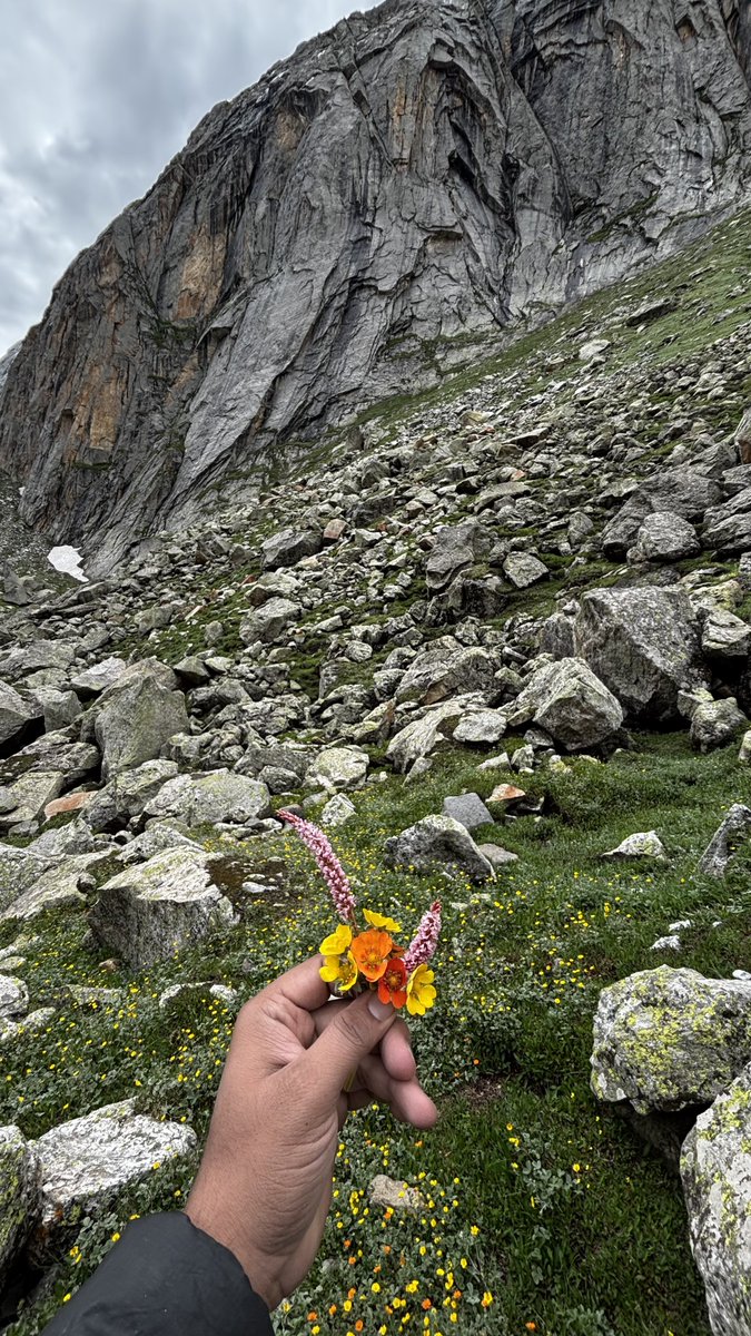 dhruvlenka's tweet photo. Nature never asks you to notice it. It patiently waits until you do. https://t.co/ZWqi2DnNTB