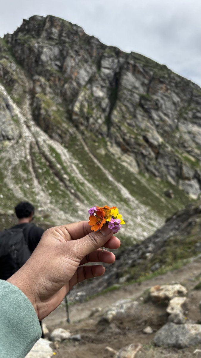 dhruvlenka's tweet photo. Nature never asks you to notice it. It patiently waits until you do. https://t.co/ZWqi2DnNTB