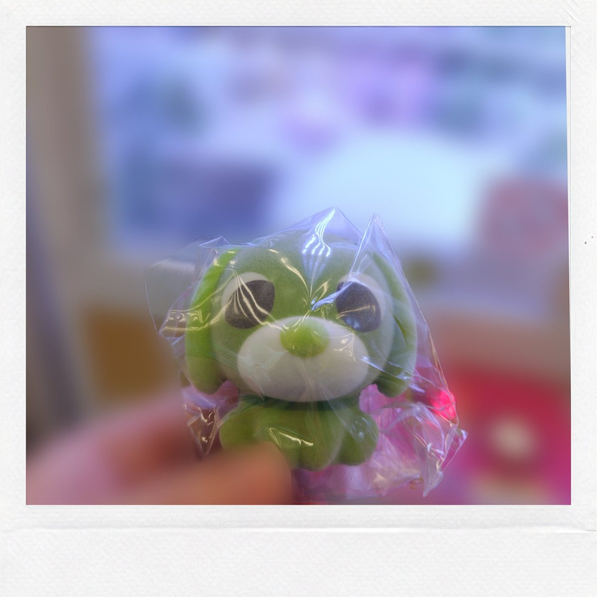 myun8's tweet photo. お茶犬🌱 ͛.*可愛い https://t.co/kw2dRYnpi9