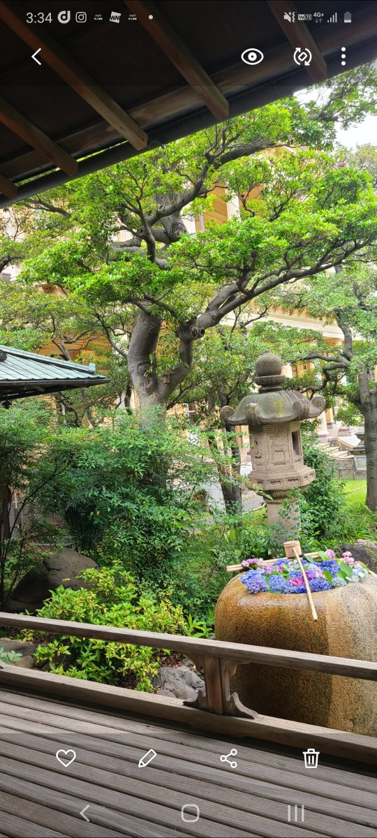 oririn1101's tweet photo. #旧岩崎邸
日本間　庭園も素敵です https://t.co/rFGOCUx7MR