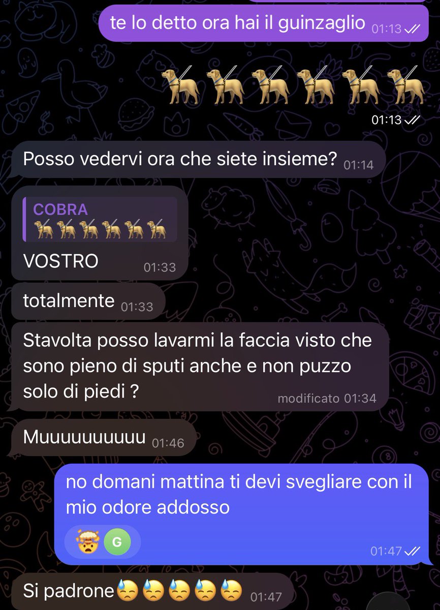 mrStex00's tweet photo. La cagna è stata svuotata
E questa mattina si sveglierà con l’odore dei miei piedi e sputi in faccia
@rt4malefeet @master_italiani @nick_gtwb  @rt4dom 
#cashmaster https://t.co/65qpkdQexv
