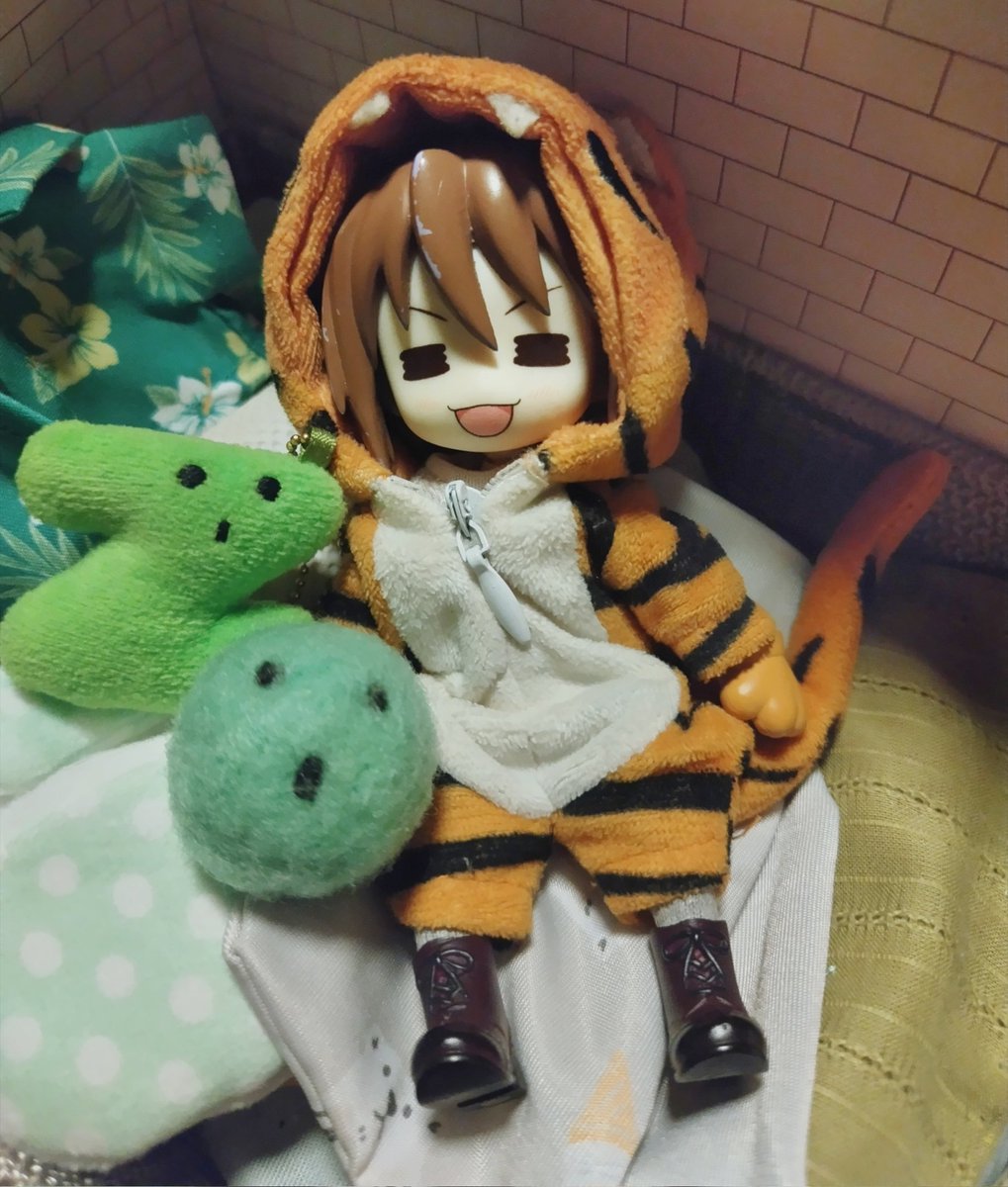 seiron_ot's tweet photo. 今朝の虎猫くん🟢
#まいにちとらねこくん https://t.co/PXqO0yLClm