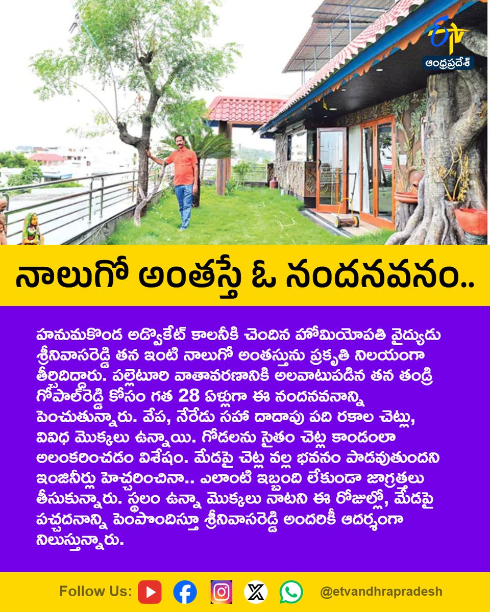 etvandhraprades's tweet photo. నాలుగో అంతస్తే ఓ నందనవనం..

For More LIVE Updates Click This Link
https://t.co/eltbdVshne

#Hanamkonda
#RooftopGarden
#TerraceGarden
#GreenHome
#NatureLover
#Etvapbreaking https://t.co/nHyLRYf7jE