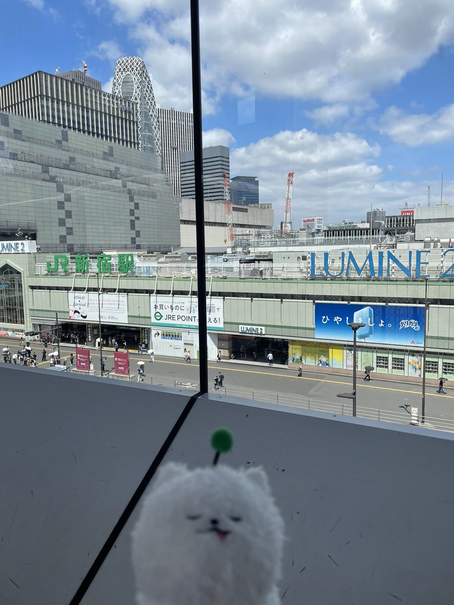 grahamPno18's tweet photo. しゅまinシンジュク https://t.co/BaryajTu3C