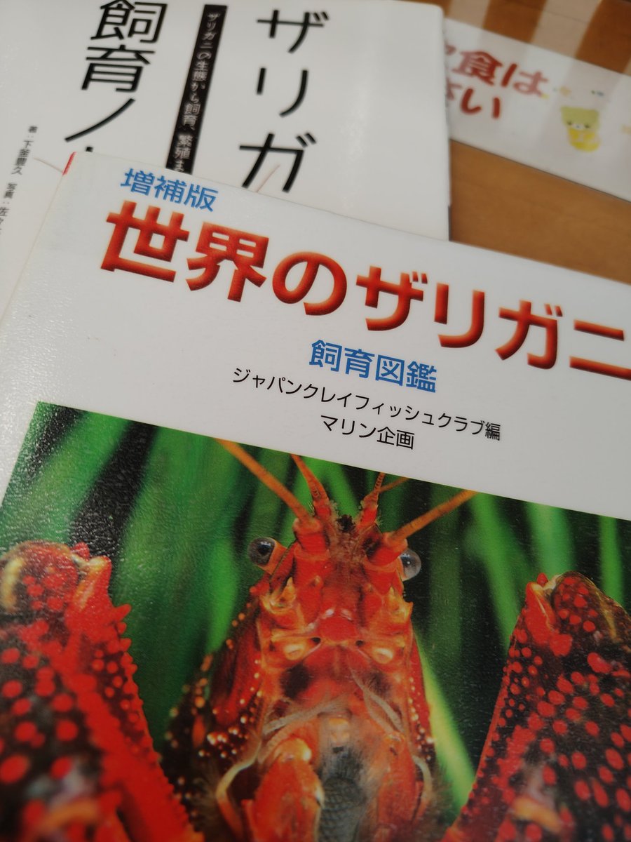 waolemur's tweet photo. 夏休みに図書館とか、大好きな『耳をすませば』の雫っぽーい😼　本買うお金無い時は図書館助かる　#耳をすませば https://t.co/ahcqxC81KT