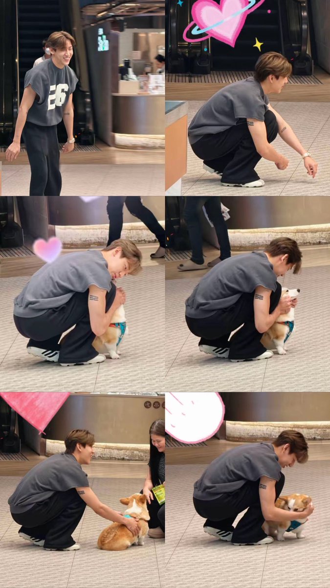 merainbow93's tweet photo. เมื่อวานที่มีคนเจอแล้วยิ้มแก้มยกเขินเจอคนทัก ❌

: น้องแบมฟินเพราะแวะเติมน้องหมา🤌🏻🐶✔️

#BamBam @BamBam1A https://t.co/wy5ERR9vb3