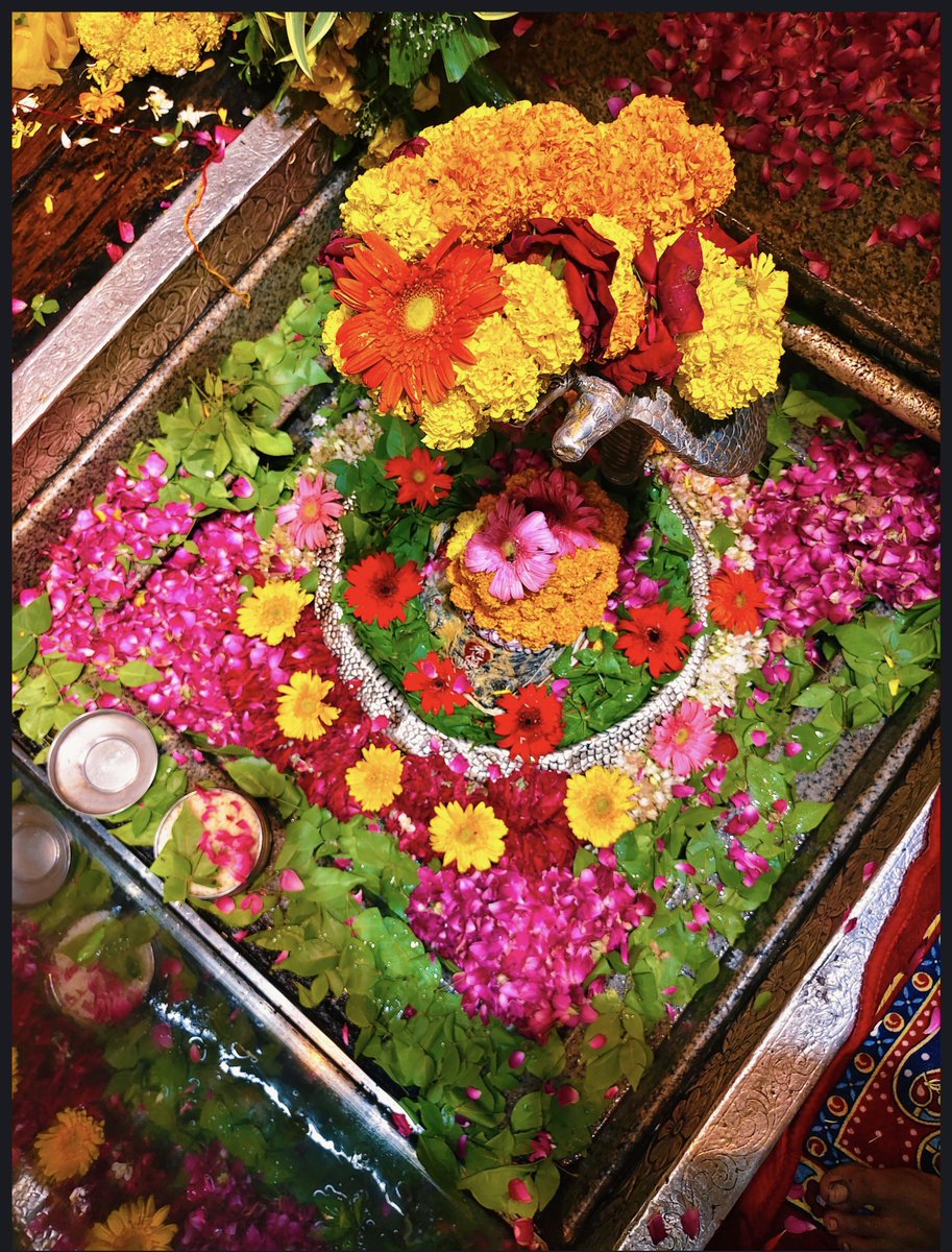 12Jyotirling's tweet photo. श्री ॐकारेश्वर ज्योतिर्लिंग मंगला आरती श्रृंगार | 04.08.2026

Shri Omkareshwar Jyotirlinga Mangala Aarti Shringar | 04.08.2026 https://t.co/yVuthFxWvg