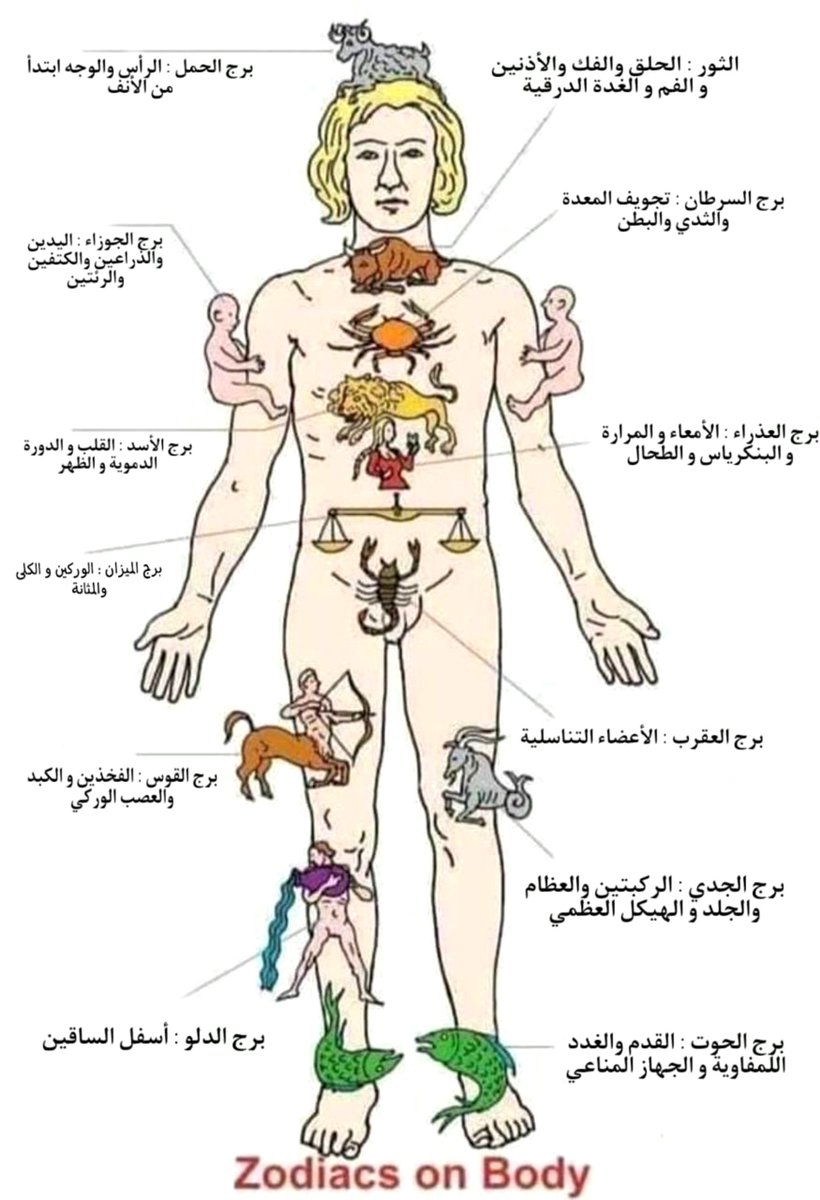 tilt__2's tweet photo. الابراج وما تمثلها من اعضاء الجسم https://t.co/if1YnY0o3i