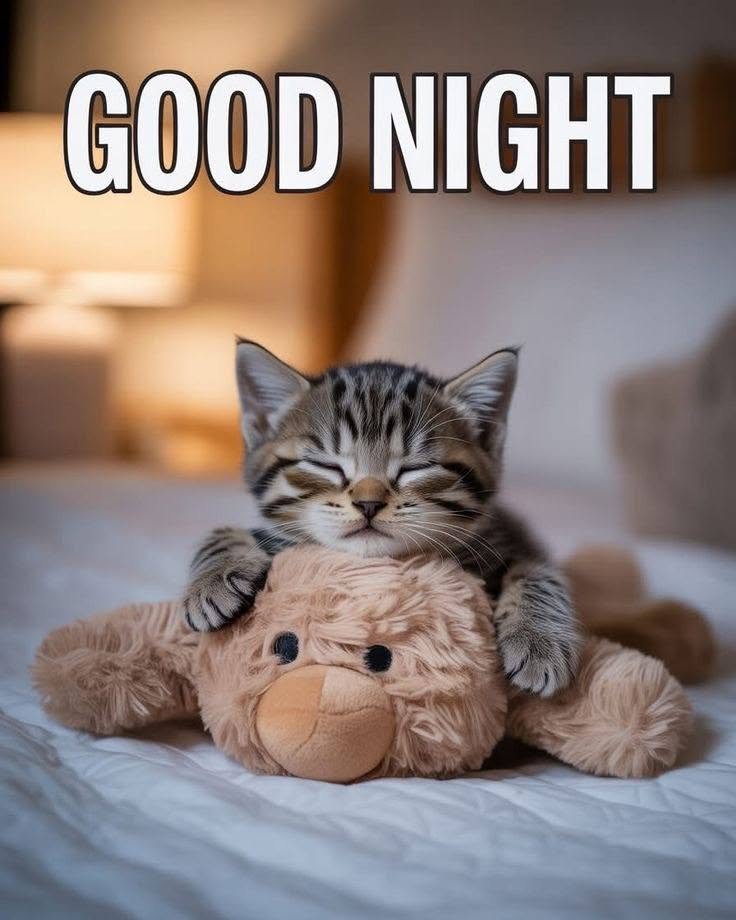 MrsAmericanVGov's tweet photo. Have an amazing night friends! https://t.co/78DTnnEWoy
