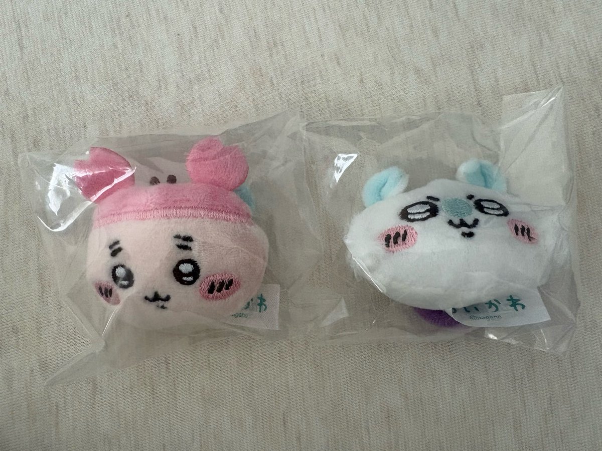 b1s0hm's tweet photo. @jm__km21 コメント失礼します。
古本屋、モモンガ所持しております。
ハチワレとの郵送交換可能でしょうか。
よろしくお願いします。 https://t.co/q0yP6IGATY