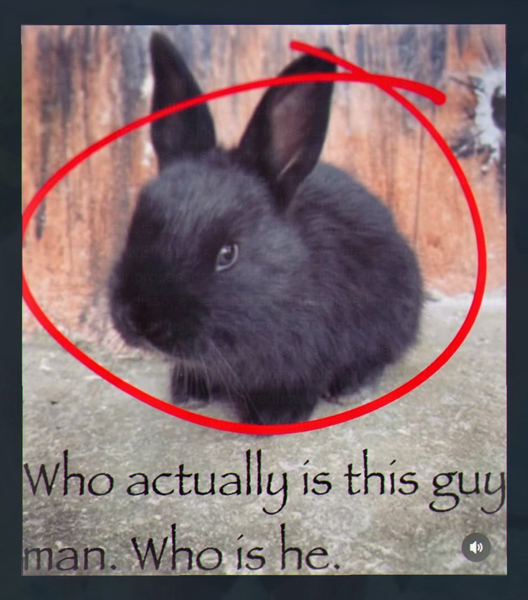 Bunnies's tweet photo. https://t.co/y7cwtkju9C