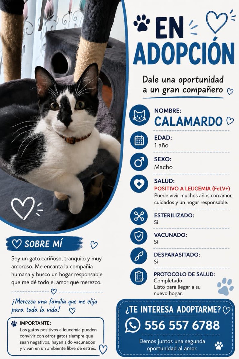 alepinav's tweet photo. Oferta de jato @Carmen_Hern https://t.co/kQNv8Jww21