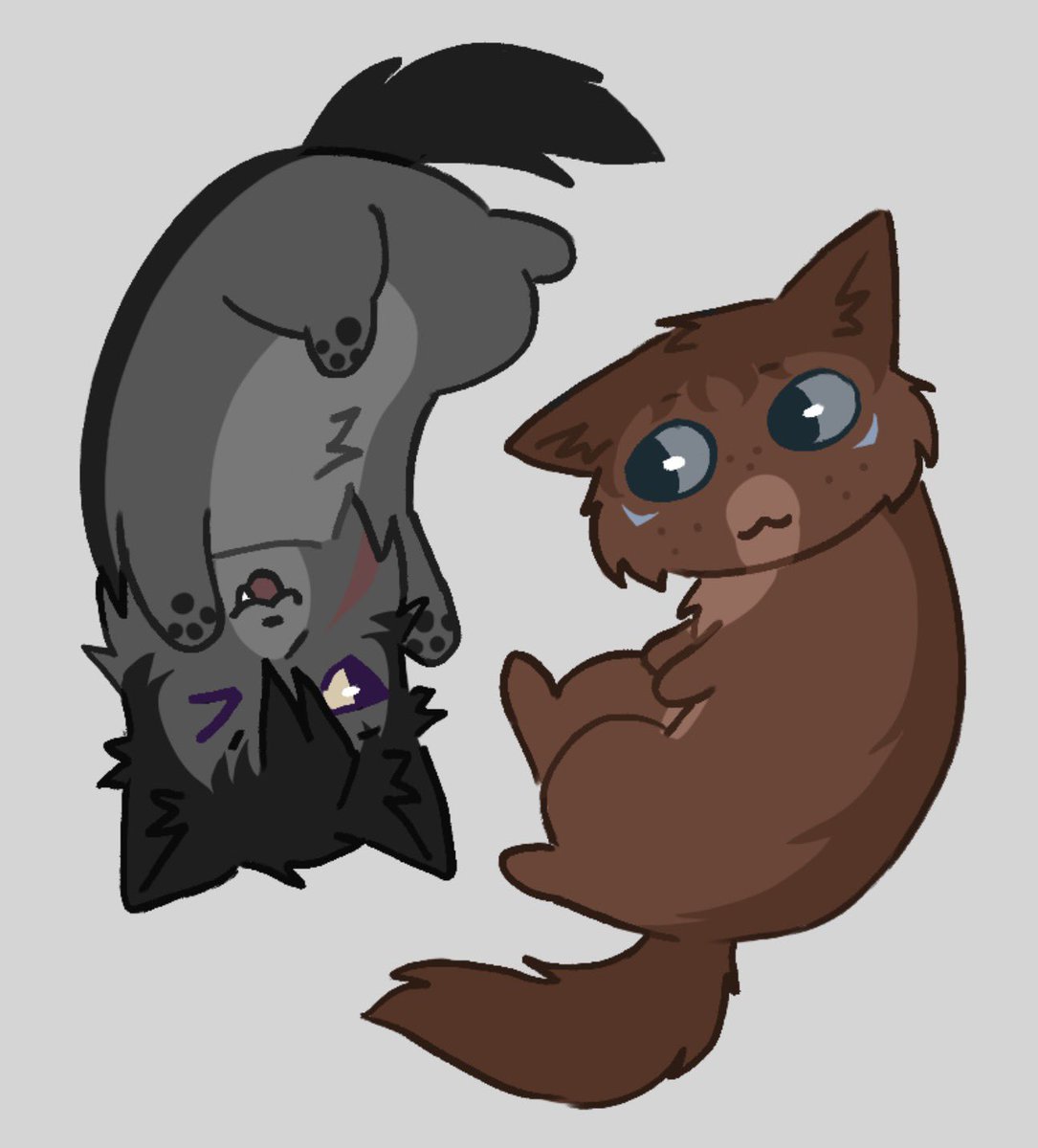 xKiwiTheKidx's tweet photo. Kitty and wolf #klance https://t.co/ey3hGfuRbY