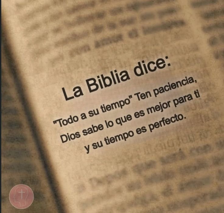 Bibliaenlinea's tweet photo. https://t.co/6UCL5xatDo