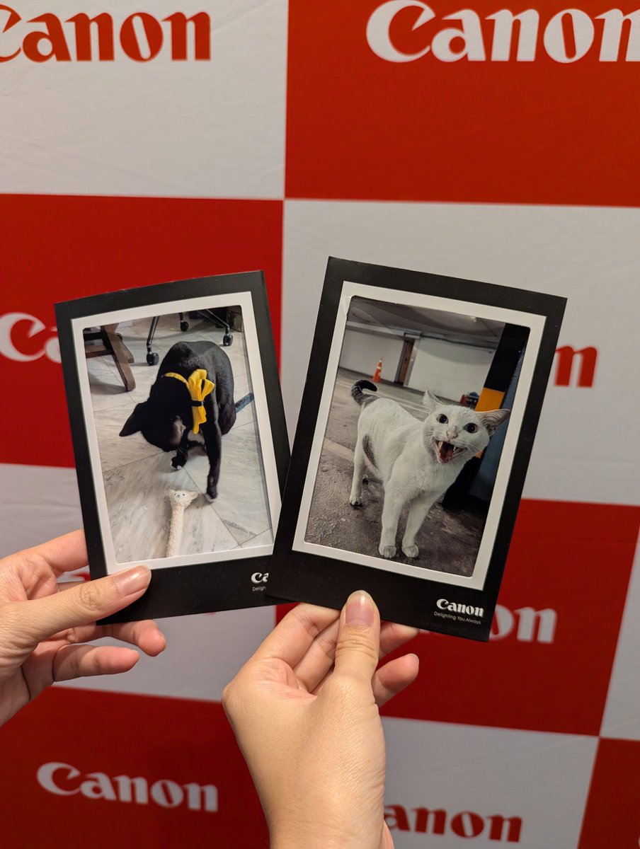 Proud_pn's tweet photo. ตอนงาน #CreatorAlley4 มีcanonไปจัดบูทเครื่องปริ้น สนใจเครื่องปริ้นขนาดเล็กมาก ทางบูทเลยให้ทดลองปริ้นภาพฟรี เลยเอารูปแมวๆที่สนิดกันไปปริ้น 😆ยิ้มหวานชัดดีมาก https://t.co/7pB7eZlNGC