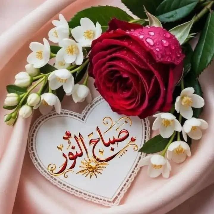 lrwmnsy1078659's tweet photo. @YwnsA7549 #لحظة_عشق
#خواطر_الريم 
#قيثارة_الأدب 
#ملتقى_قيثارة_الأدب https://t.co/8EEy0x8Vxr