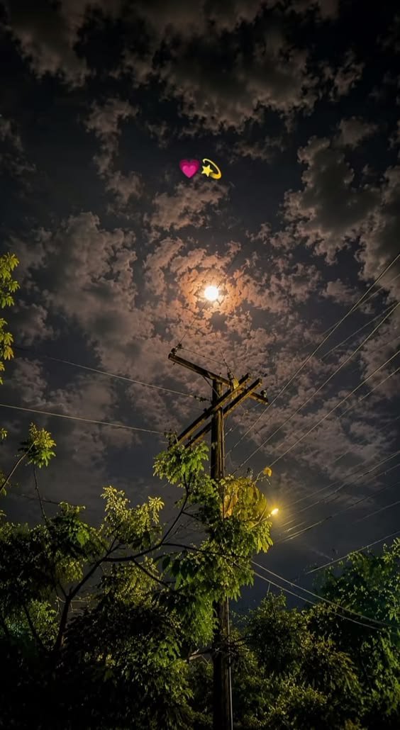 Nature With Vikash tweet media