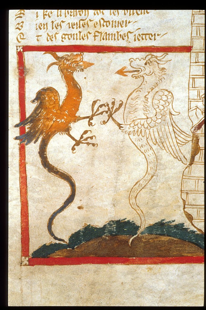 Evoincarnate's tweet photo. as a history nerd
this "lets critique furry design" is the LEAST founded 
all these are dragons
and most historical dragons had fur or feathers and ears 
the furry dragon is even MORE historically based than drogon is  
the shark critique is based in anatomy
your critique is not https://t.co/dhwWbRW2C1