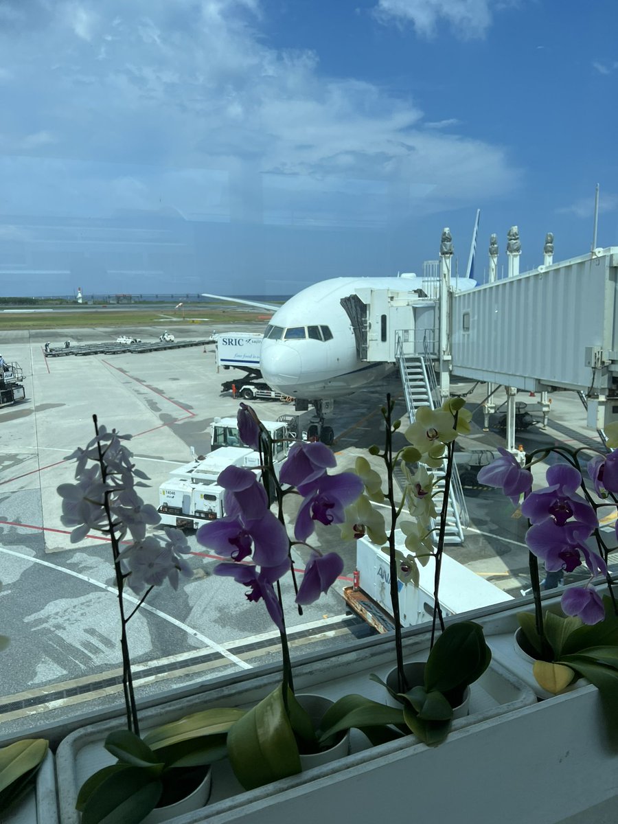 KTgiil3's tweet photo. 沖縄に到着！
今回は一人旅ではなく家族旅行なので、家族優先で楽しみます😁
天気は今のところ良い☀️
#旅 https://t.co/pAF0qmnyFc