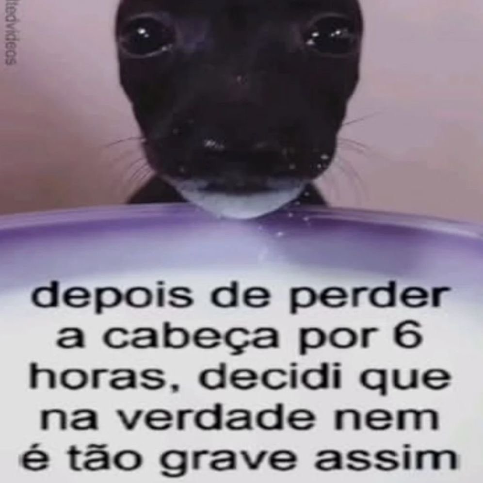uma_p_aleatoria's tweet photo. https://t.co/dPDWdR1Joc