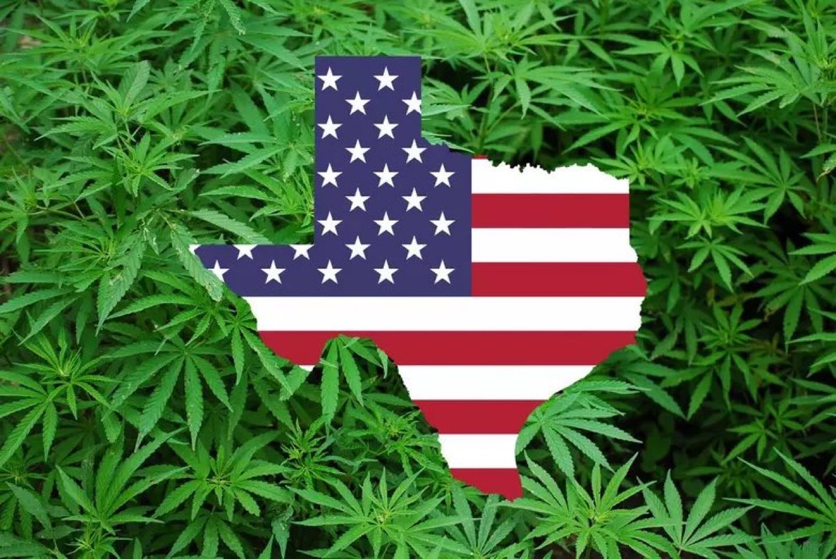 truclip's tweet photo. THC will now get u a felony in Texas

Delta-8 THC
Delta-10 THC
Delta-6 THC
THCP
THC-O https://t.co/ydm7fRPL1X