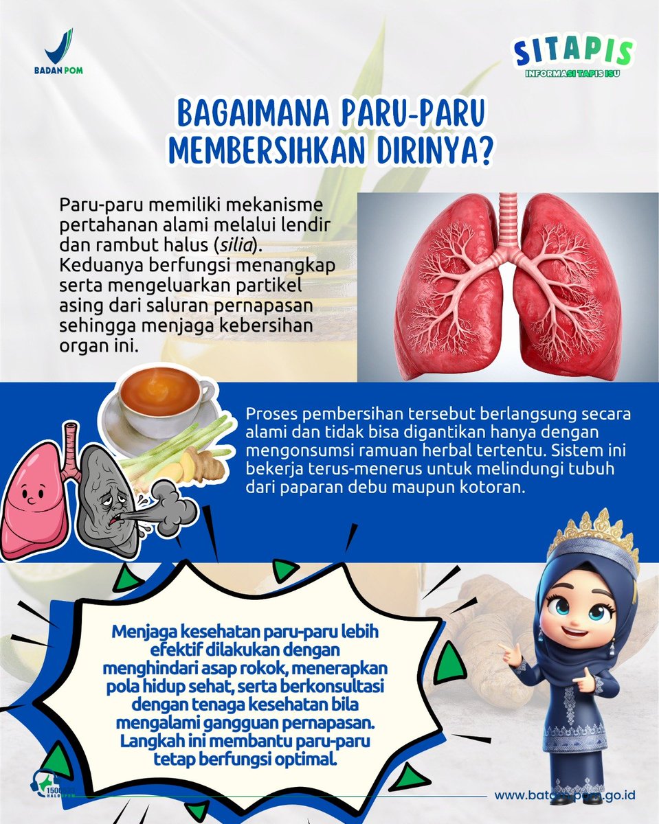 bpom_batam's tweet photo. Hai Encik &amp; Puan #SahabatBPOM! 👋

Beredar informasi bahwa ramuan jahe, kencur, kunyit, dan serai dapat membersihkan paru-paru. Faktanya, klaim tersebut belum memiliki bukti ilmiah yang cukup. https://t.co/czHxh1yWUs
