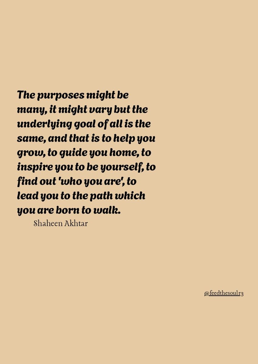 _TheOldSoul_'s tweet photo. 🦋🦋
continued... https://t.co/g2Akn82Hy0