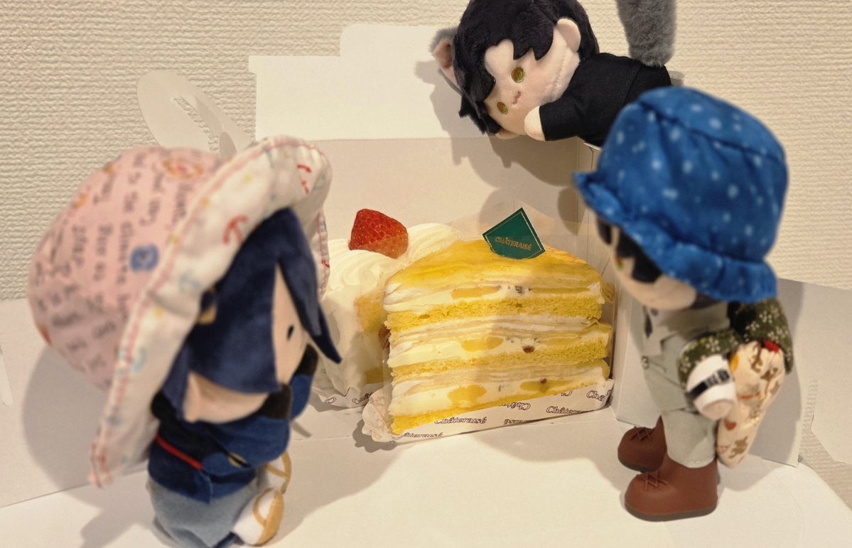lcbhima's tweet photo. コンテナハウスの部屋はこんな感じ
(手前にもう1個ベッドがあってユニットバス付)
近所にシャトレーゼあった&amp;部屋の冷蔵庫が二段式だったので部屋にアイスも持ち込んじゃうぜ
個別空調だから部屋も寒いくらい涼しくしちゃったし…
不便なく過ごせたわ
テーブルないのが難点だったけど

#リュック本丸 https://t.co/49BbK7XWAc