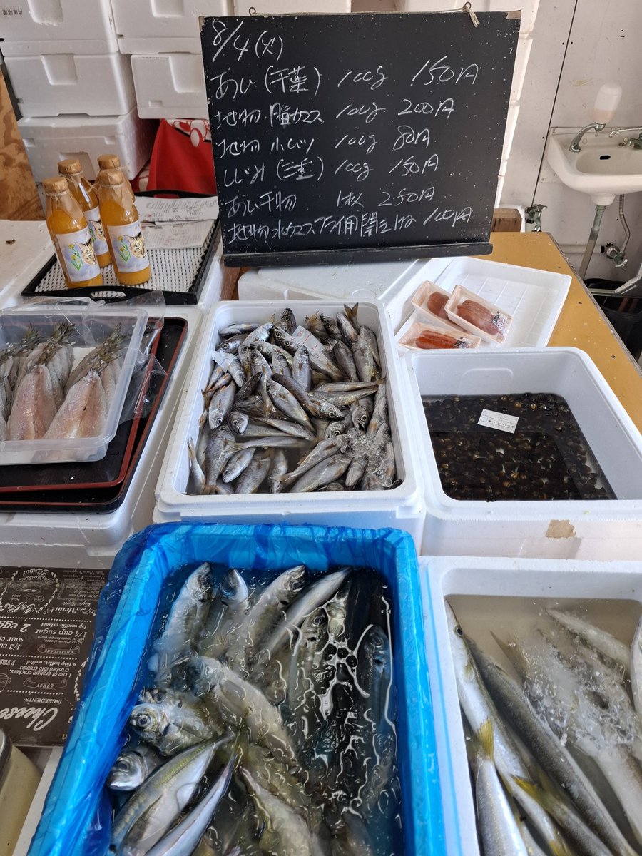 noboruagaru's tweet photo. おはようございます。暑くなりました。強い波の影響で漁に出れない所がありました。今日は地物小ムツは多めにあります。地物水カマスはフライ、天ぷら用に開いてあります。本日もよろしくお願いいたします。#真鶴 #真鶴魚市場前販売所 #幸せをつくる真鶴時間 https://t.co/jmFPBziBIu