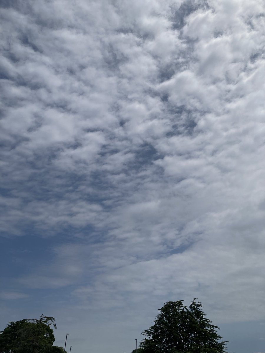 flyingace1978's tweet photo. #イマソラ
#いまそら
#キリトリセカイ

今日は晴れてるけど、雲が多い。
いつも通り暑いけど、風があるからだいぶマシに感じる。
油断せずに水分補給せなアカンな。

そんなお昼です。 https://t.co/e87acWvXka