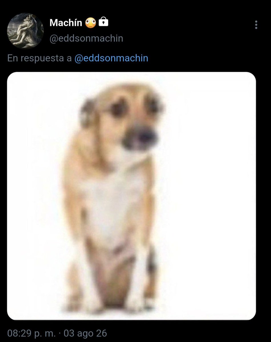 linowlkz's tweet photo. 7. https://t.co/jRuPfBUxWg