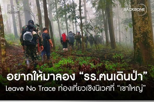 BackboneMCOT's tweet photo. "โรงเรียนฅนเดินป่า" ที่ "เขาใหญ่" ที่แรกนำร่อง ท่องเที่ยวเชิงนิเวศ "Leave No Trace ไม่ทิ้งภาระให้ธรรมชาติ" ให้การท่องเที่ยวเชิงธรรมชาติของไทยเติบโตอย่างยั่งยืน
📷 https://t.co/SO2G0uRlox
#โรงเรียนฅนเดินป่า #สิ่งแวดล้อม #ป่า #เขาใหญ่ #เดินป่า #ESGinsight #BackboneMCOT https://t.co/TSzZsvzYWA