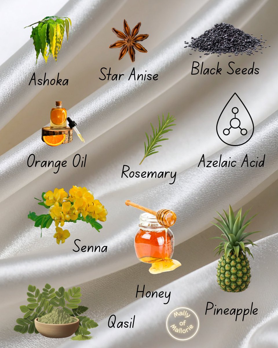 MallyofMallorie's tweet photo. Natural Supports Series, Part 1 | Acne Edition 🍃
Acne is complex, and what helps one person may not help another. Diet, hormones, skincare, stress, sleep, and genetics can all play a role.

Which one would you like me to explore next in more detail?
✨ Educational content only. https://t.co/MOOwlXv7mv