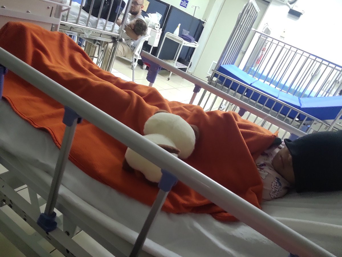 KMerary77's tweet photo. Ovejita, Ovejita 🥺🥺💔 https://t.co/L01Cijkwxr